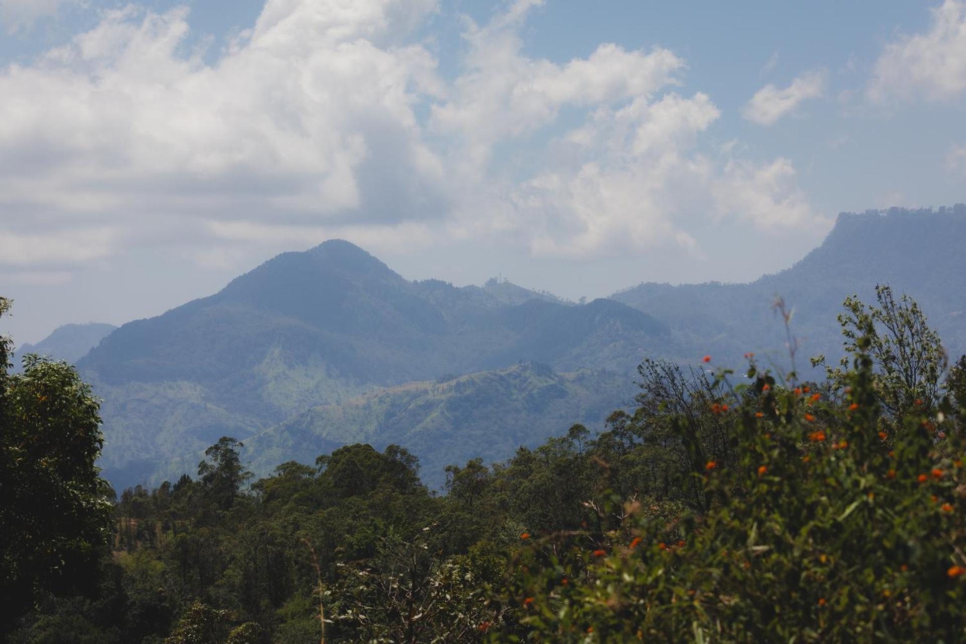 Ella Mountain Palace ภายนอก รูปภาพ