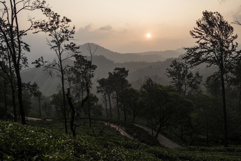 Ella Mountain Palace ภายนอก รูปภาพ